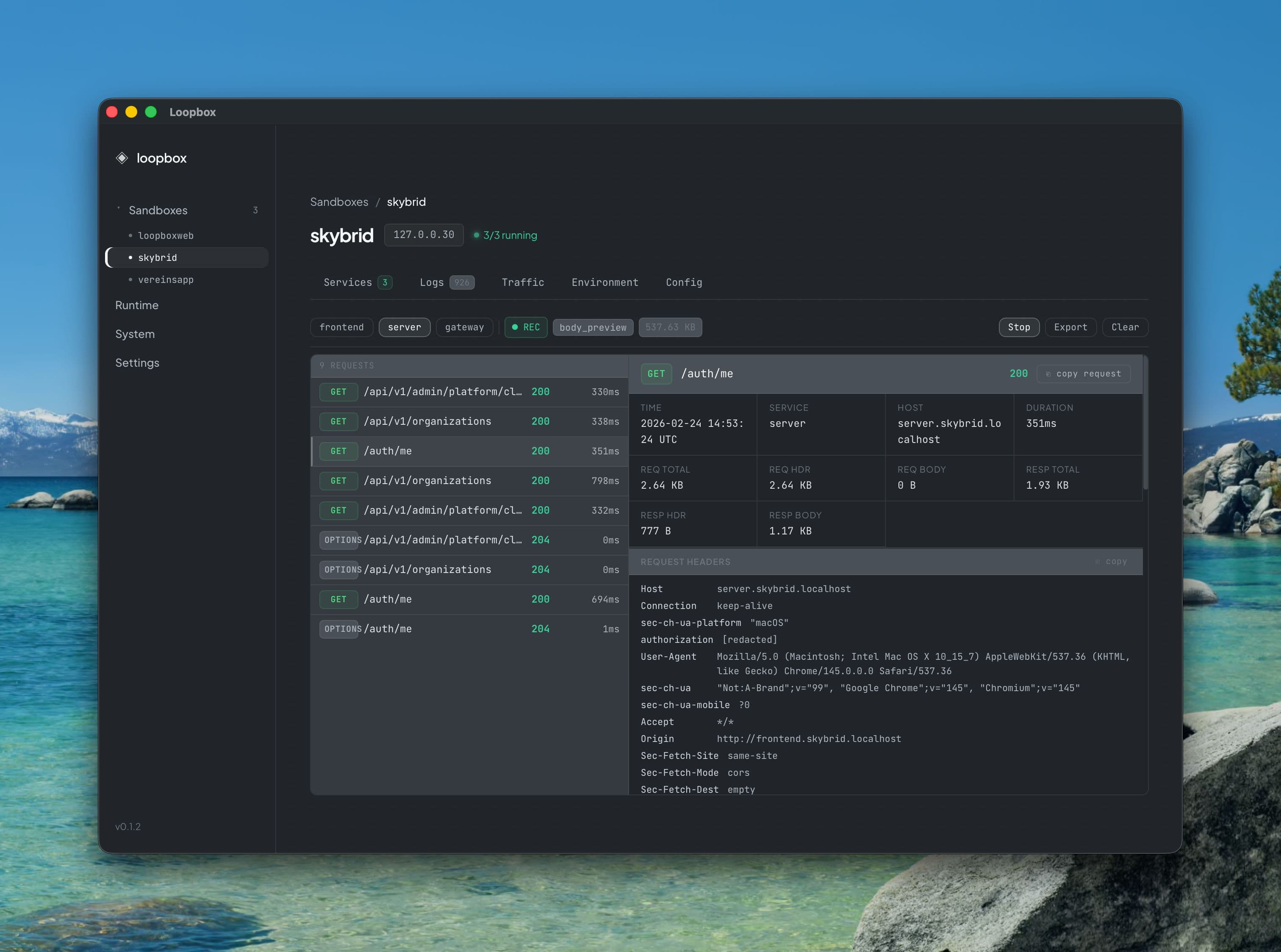 Traffic capture view